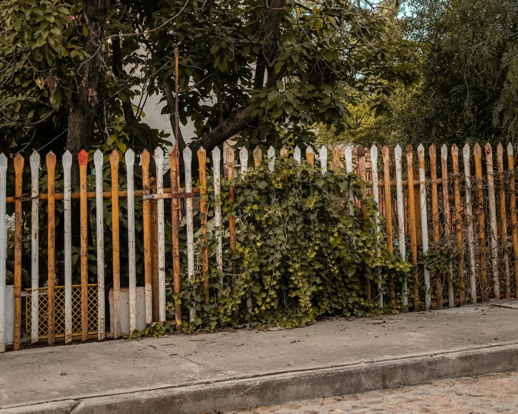 Matrice dá dicas de manutenção residencial: Verifique periodicamente a pintura e a vedação para detetar sinais de desgaste, como descamação, rachaduras ou lascas