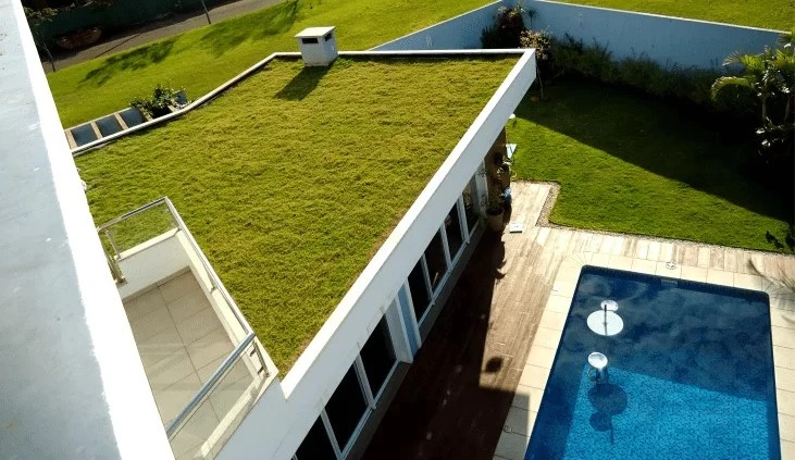 A cobertura vegetal representa uma abordagem inovadora e sustentável na arquitetura contemporânea que inclui várias camadas essenciais, sendo a última uma camada vegetal com diversas plantas.
